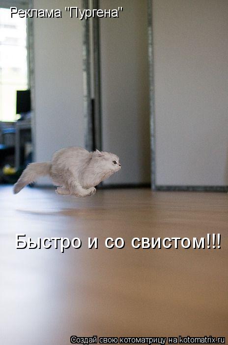 Котоматрица: Реклама "Пургена" Быстро и со свистом!!!