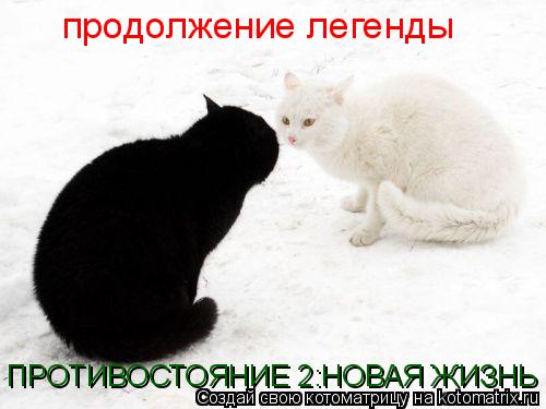 Котоматрица: продолжение легенды  ПРОТИВОСТОЯНИЕ 2:НОВАЯ ЖИЗНЬ