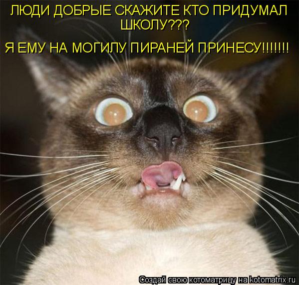 Котоматрица: ЛЮДИ ДОБРЫЕ СКАЖИТЕ КТО ПРИДУМАЛ ШКОЛУ??? Я ЕМУ НА МОГИЛУ ПИРАНЕЙ ПРИНЕСУ!!!!!!!