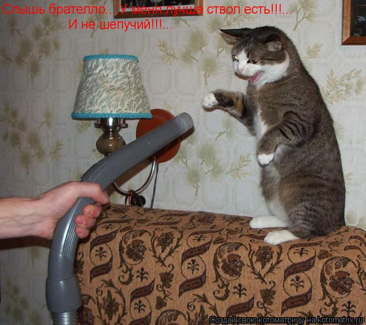 Котоматрица: Слышь брателло... У меня лучше ствол есть!!!... И не шепучий!!!...