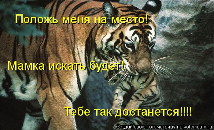 Котоматрица: Положь меня на место! Мамка искать будет! Тебе так достанется!!!!