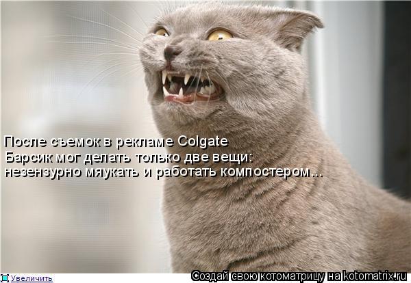 Котоматрица: Барсик мог делать только две вещи: незензурно мяукать и работать компостером... После съемок в рекламе Colgate