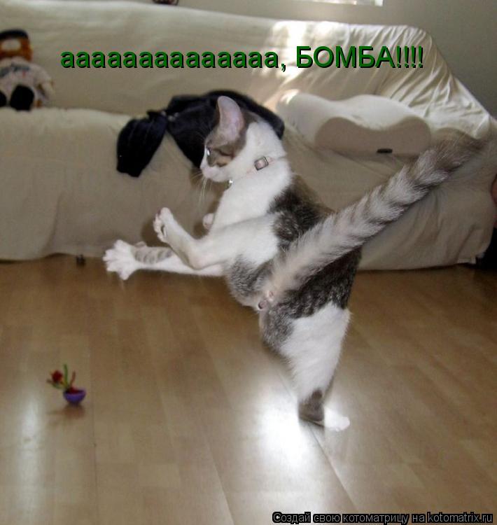аааааааааааааа, БОМБА!!!!... Котоматрица: аааааааааааааа, БОМБА!!!!
