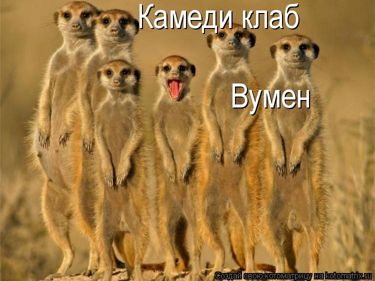 Камеди клаб Вумен... Котоматрица: Камеди клаб Вумен