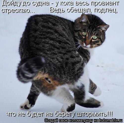 Дойду до судна - у кока весь провиант стрескаю... Ведь обещал, подлец, что не будет на берегу шторми... Котоматрица: Дойду до судна - у кока весь провиант стрескаю... Ведь обещал, подлец, что не будет на берегу штормить!!!