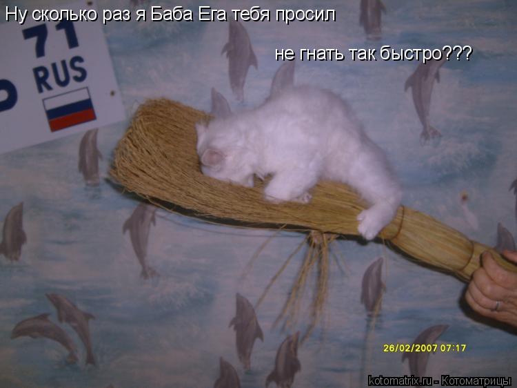 Ну сколько раз я Баба Ега тебя просил не гнать так быстро???... Котоматрица: Ну сколько раз я Баба Ега тебя просил не гнать так быстро???
