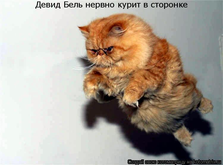 Девид Бель нервно курит в сторонке... Котоматрица: Девид Бель нервно курит в сторонке