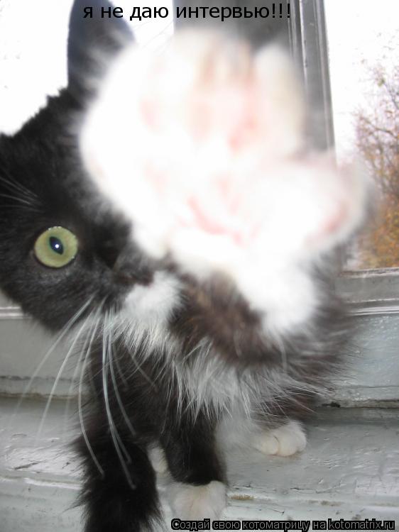 я не даю интервью!!!... Котоматрица: я не даю интервью!!!