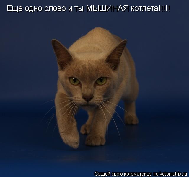 Ещё одно слово и ты МЫШИНАЯ котлета!!!!!... Котоматрица: Ещё одно слово и ты МЫШИНАЯ котлета!!!!!