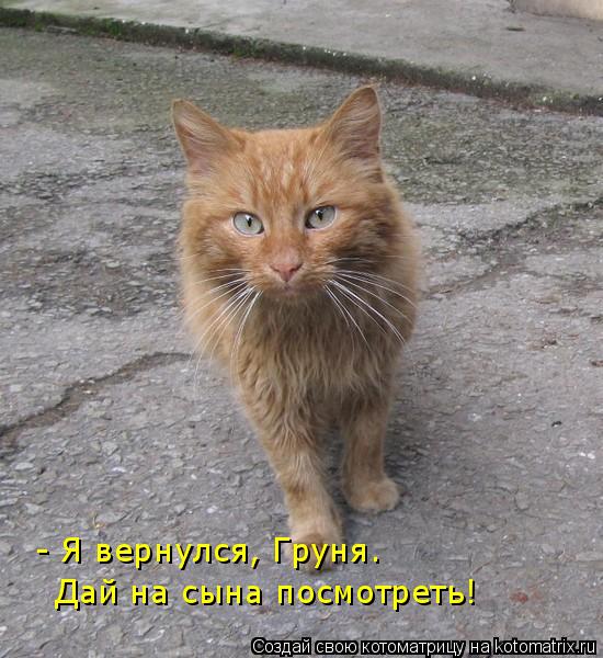 Котоматрица: - Я вернулся, Груня. Дай на сына посмотреть!