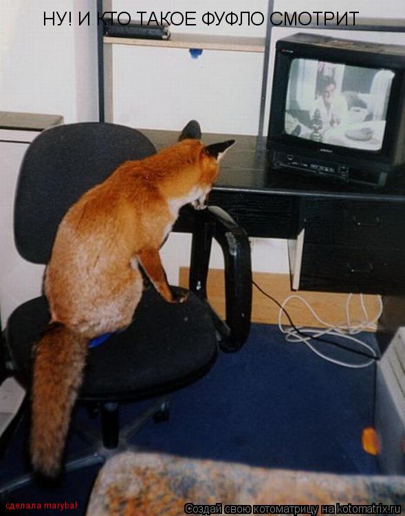 Котоматрица: НУ! И КТО ТАКОЕ ФУФЛО СМОТРИТ сделала marybal