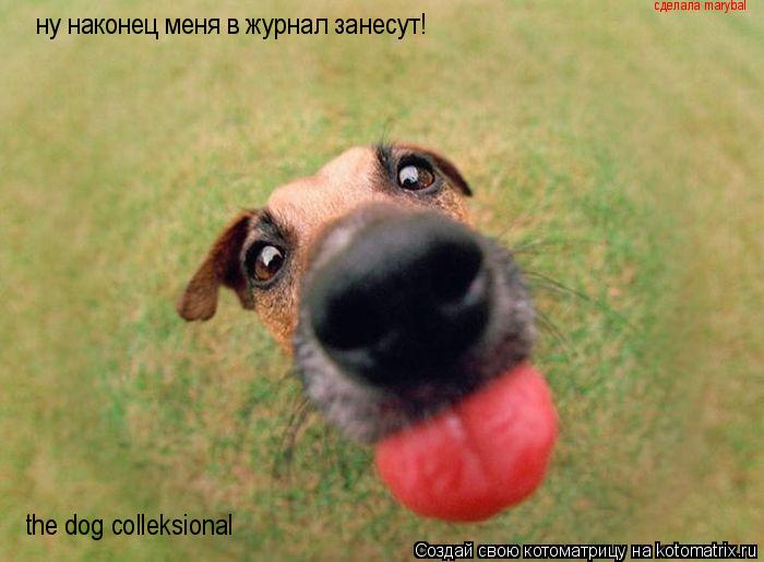 Котоматрица: ну наконец меня в журнал занесут! the dog colleksional сделала marybal