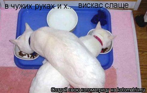 Котоматрица: в чужих руках и х.. вискас слаще