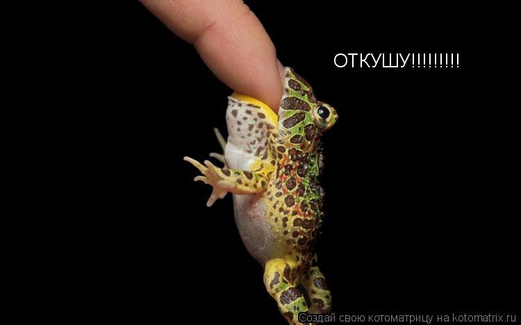 Котоматрица: ОТКУШУ!!!!!!!!!