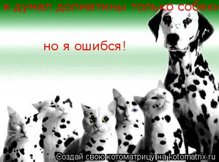 Котоматрица: я думал долматины только собаки но я ошибся!