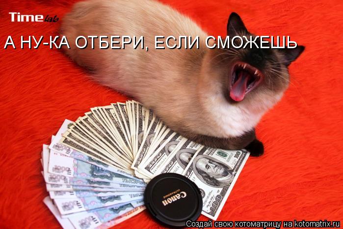Котоматрица: А НУ-КА ОТБЕРИ, ЕСЛИ СМОЖЕШЬ