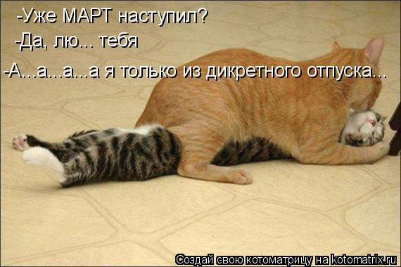 -Уже МАРТ наступил? -Да, лю... тебя -А...а...а...а я только из дикретного отпуска...... Котоматрица: -Уже МАРТ наступил? -Да, лю... тебя -А...а...а...а я только из дикретного отпуска...