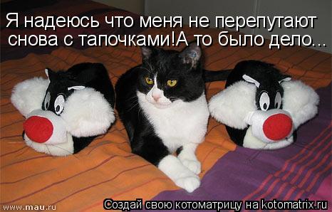 Котоматрица: Я надеюсь что меня не перепутают снова с тапочками!А то было дело...