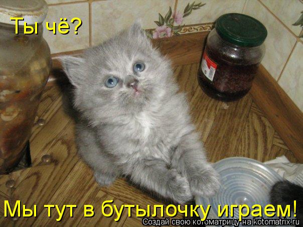 Котоматрица: Ты чё? Мы тут в бутылочку играем!