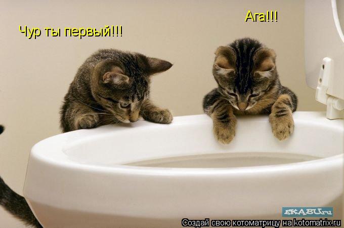 Котоматрица: Чур ты первый!!! Ага!!!