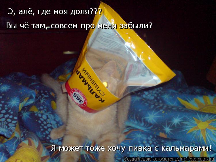 Котоматрица: Э, алё, где моя доля??? Вы чё там, совсем про меня забыли? Я может тоже хочу пивка с кальмарами!