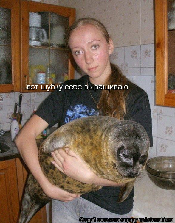 Котоматрица: вот шубку себе выращиваю