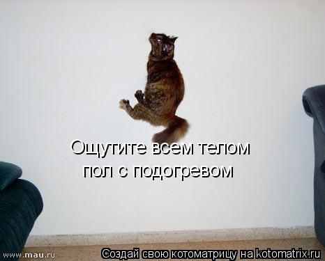 Котоматрица: Ощутите всем телом пол с подогревом