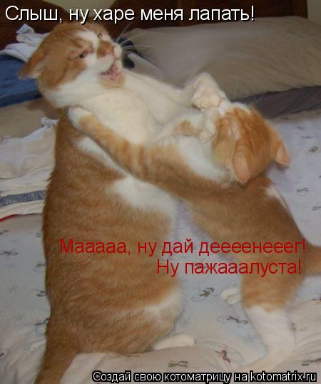 Котоматрица: Слыш, ну харе меня лапать! Мааааа, ну дай деееенееег! Ну пажааалуста!
