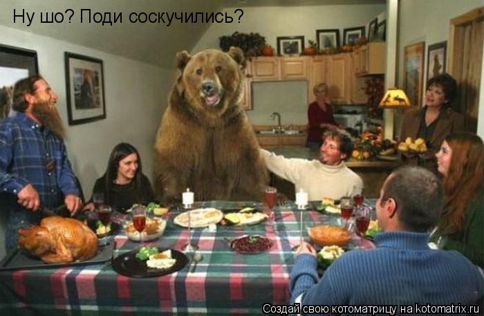 Котоматрица: Ну шо? Поди соскучились?