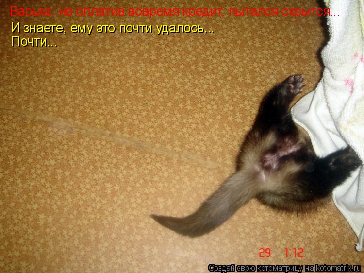 Котоматрица: Васька, не оплатив вовремя кредит, пытался скрытся... И знаете, ему это почти удалось... Почти...