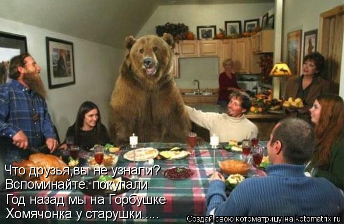 Котоматрица: Что друзья,вы не узнали? Вспоминайте: покупали  Год назад мы на Горбушке Хомячонка у старушки.....