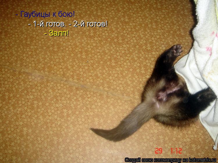 Котоматрица: - Гаубицы к бою! - 1-й готов. - 2-й готов! - Залп!