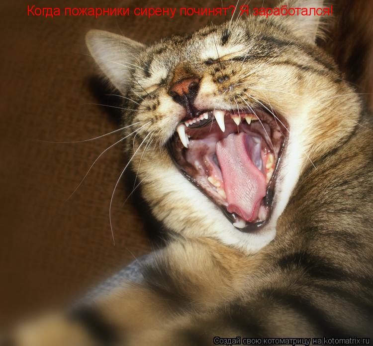 Котоматрица: Когда пожарники сирену починят? Я заработался!