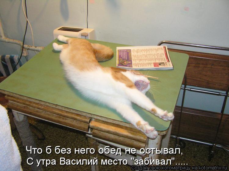 Котоматрица: С утра Василий место "забивал"..... Что б без него обед не остывал,