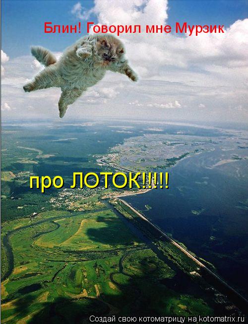 Котоматрица: Блин! Говорил мне Мурзик  про ЛОТОК!!!!!