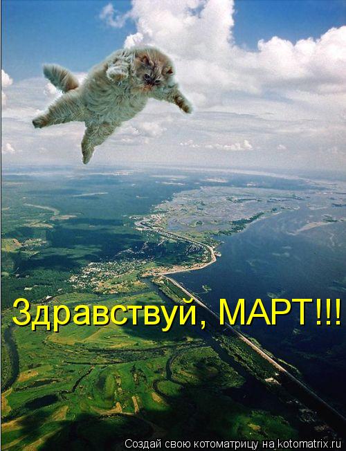 Здравствуй, МАРТ!!!... Котоматрица: Здравствуй, МАРТ!!!