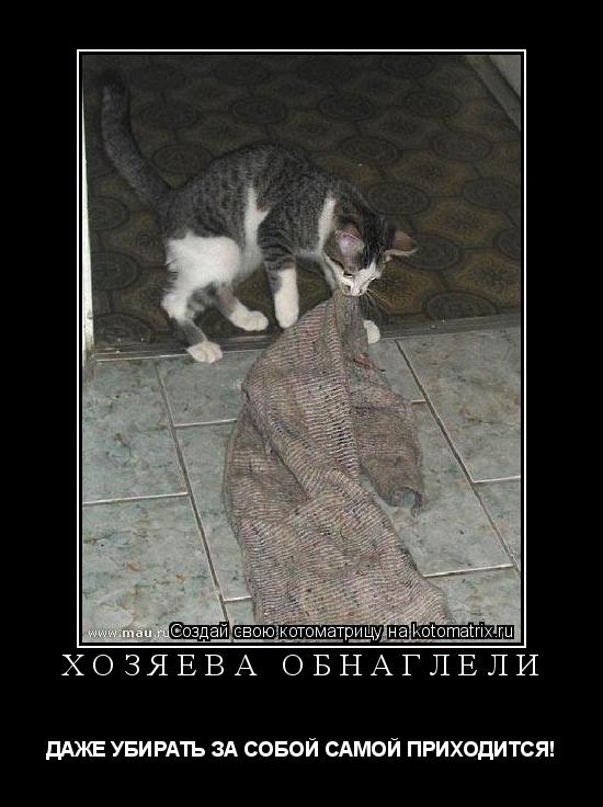 ХОЗЯЕВА ОБНАГЛЕЛИ ДАЖЕ УБИРАТЬ ЗА СОБОЙ САМОЙ ПРИХОДИТСЯ!... Котоматрица: ХОЗЯЕВА ОБНАГЛЕЛИ ДАЖЕ УБИРАТЬ ЗА СОБОЙ САМОЙ ПРИХОДИТСЯ!