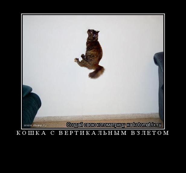 КОШКА С ВЕРТИКАЛЬНЫМ ВЗЛЕТОМ ... Котоматрица: КОШКА С ВЕРТИКАЛЬНЫМ ВЗЛЕТОМ