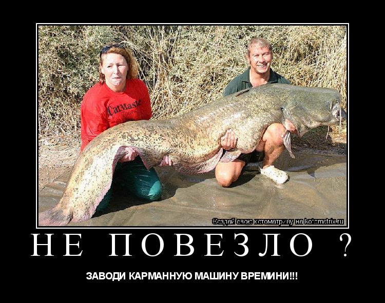 Котоматрица: НЕ ПОВЕЗЛО ? ЗАВОДИ КАРМАННУЮ МАШИНУ ВРЕМИНИ!!!