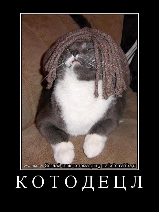 КОТОДЕЦЛ ... Котоматрица: КОТОДЕЦЛ