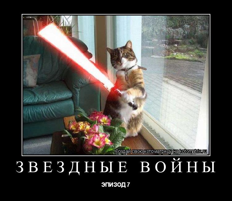 ЗВЕЗДНЫЕ ВОЙНЫ ЭПИЗОД 7... Котоматрица: ЗВЕЗДНЫЕ ВОЙНЫ ЭПИЗОД 7