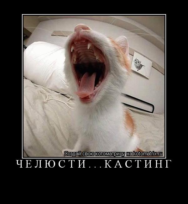 Котоматрица: ЧЕЛЮСТИ...КАСТИНГ 