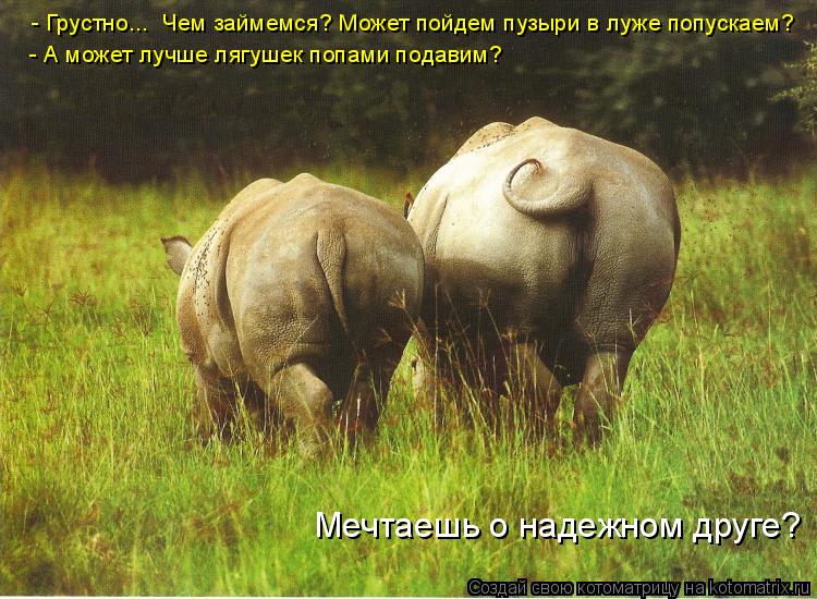 - Грустно... Чем займемся? Может пойдем пузыри в луже попускаем? - А может лучше лягушек попами пода... Котоматрица: - Грустно... Чем займемся? Может пойдем пузыри в луже попускаем? - А может лучше лягушек попами подавим? Мечтаешь о надежном друге?