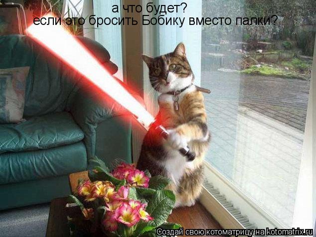 Котоматрица: а что будет? если это бросить Бобику вместо палки?