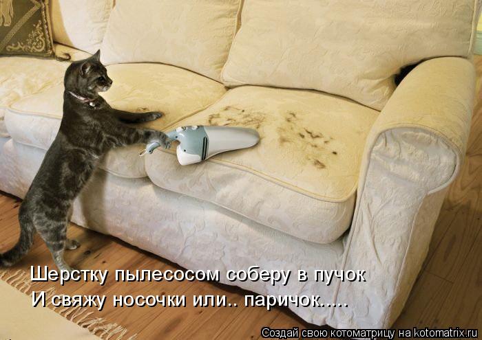 Котоматрица: Шерстку пылесосом соберу в пучок И свяжу носочки или.. паричок.....