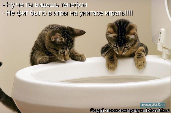 Котоматрица: - Ну чё ты видешь телефон - Не фиг было в игры на унитазе играть!!!!