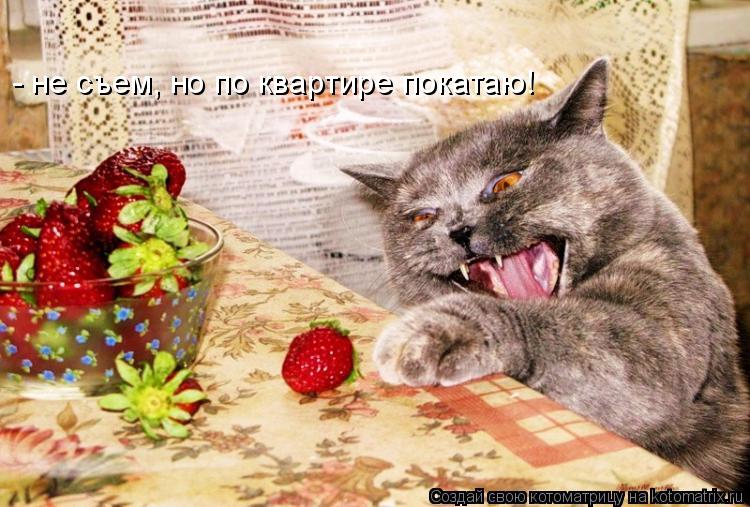 Котоматрица: - не съем, но по квартире покатаю!