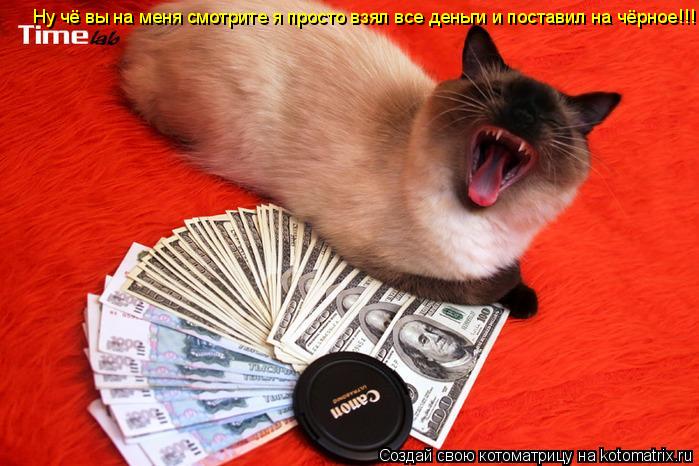 Котоматрица: Ну чё вы на меня смотрите я просто взял все деньги и поставил на чёрное!!!