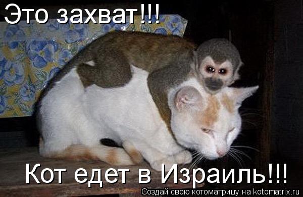 Котоматрица: Это захват!!! Кот едет в Израиль!!!