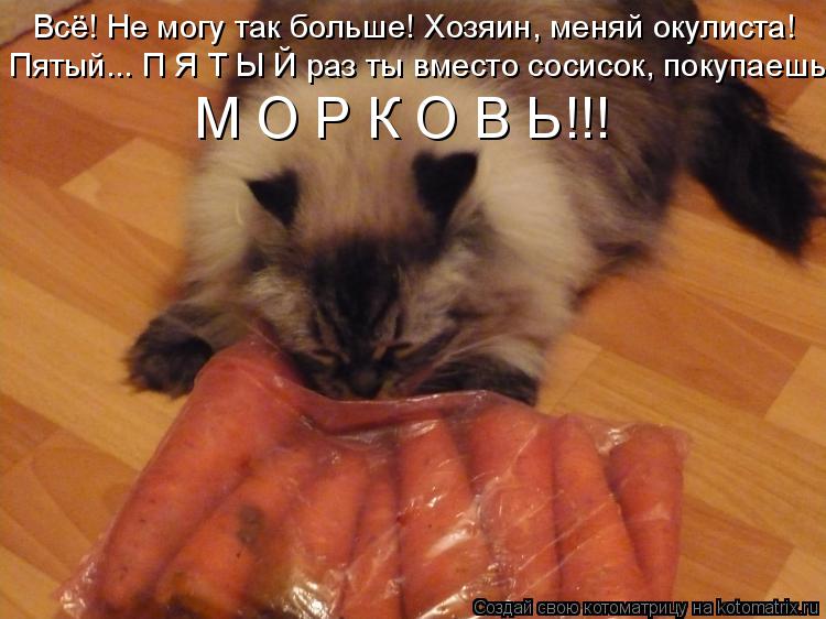 Котоматрица: Всё! Не могу так больше! Хозяин, меняй окулиста! Пятый... П Я Т Ы Й раз ты вместо сосисок, покупаешь М О Р К О В Ь!!!